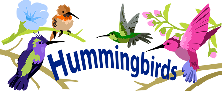 Hummingbirds