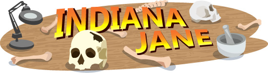 Indiana Jane illustration