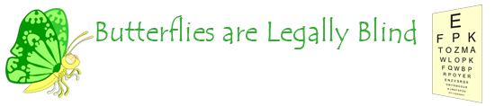 Did You Know Butterflies Are Legally Blind?