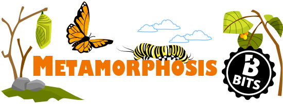 Metamorphosis