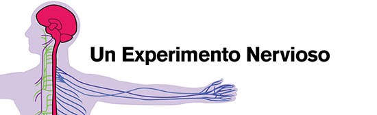 Un Experimento Nervioso