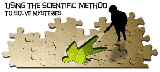 scientific method