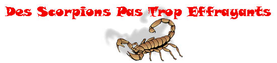 Des scorpions pas trop effrayants