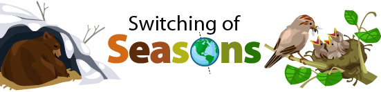 Why Do We Have Seasons?