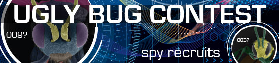 Ugly bug contest banner