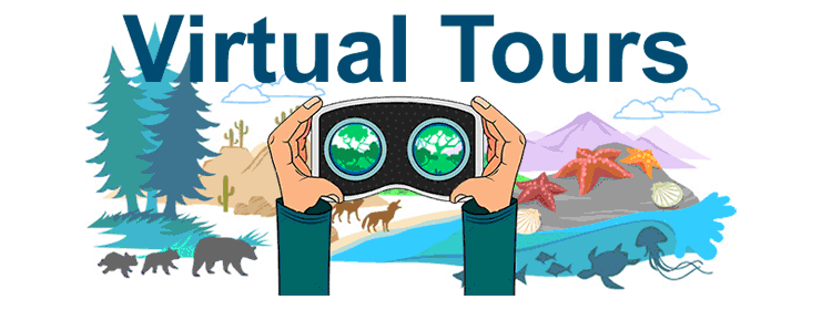 Virtual Tours