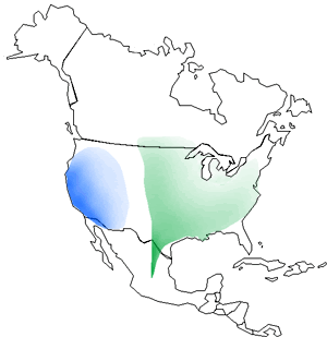 monarch map