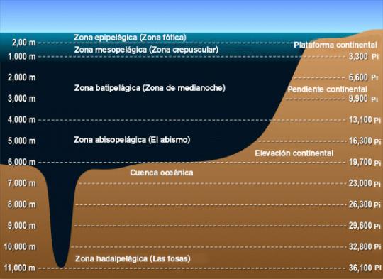 Ocean zones