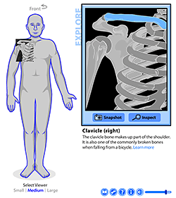 Skeleton Viewer