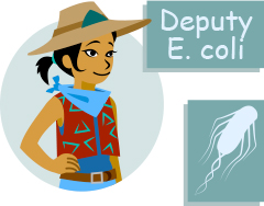 Deputy E. coli