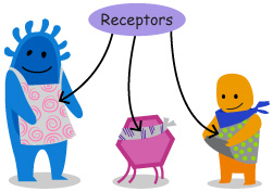 receptors