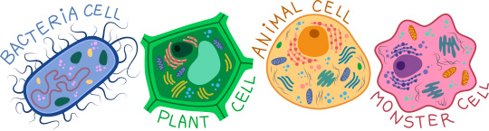 cell types