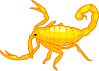 scorpion