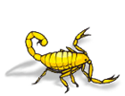 scorpion icon