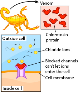 venom diagram