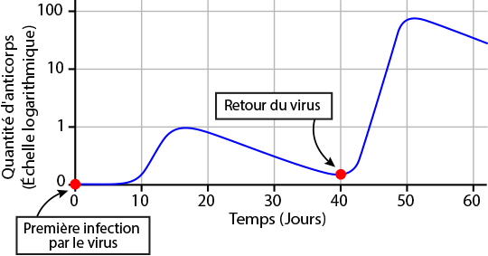 antibody graph