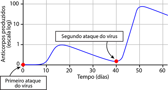 Este gráfico mostra como as células de memória ajudam a combater melhor as infecções. 