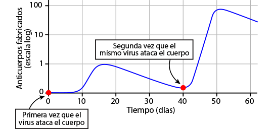 Gráfico