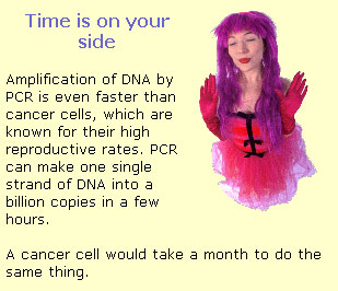 PCR amplifies DNA faster than cancer cells