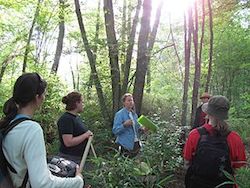 Students in the forest