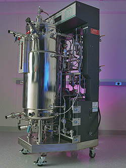 bioreactor