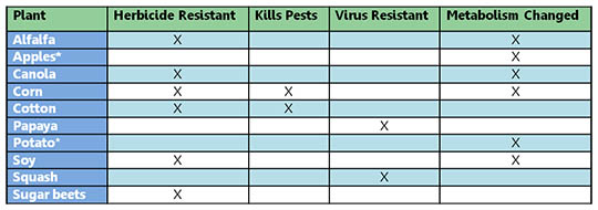 GMO chart