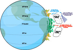 Hadley cells