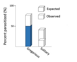 Chi-squared image