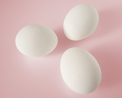 Chicken eggs