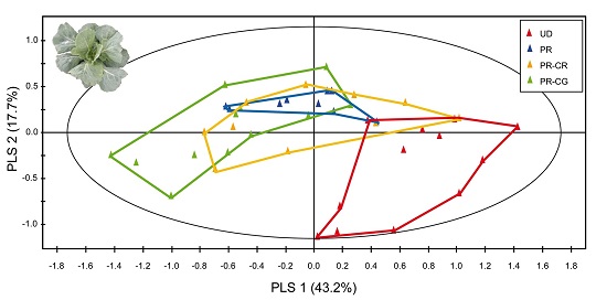 Figure 5. Plant chemical blends