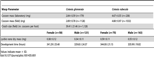 Table of wasp and cocoon dry masses