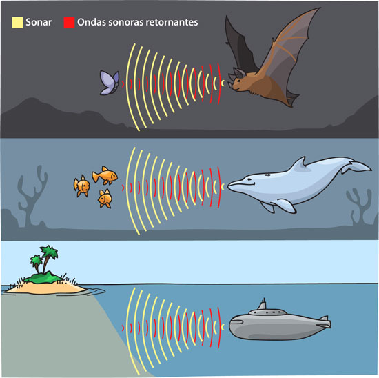 sonar illustration