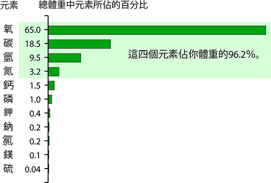 Elements in Human Body by Percent