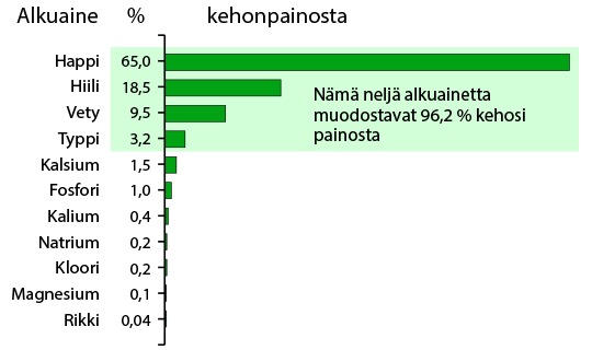 Elements in Human Body by Percent