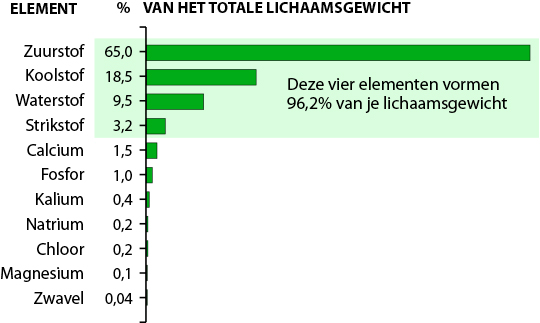 Elements in Human Body by Percent