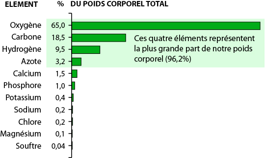 Elément % du poids corporel total