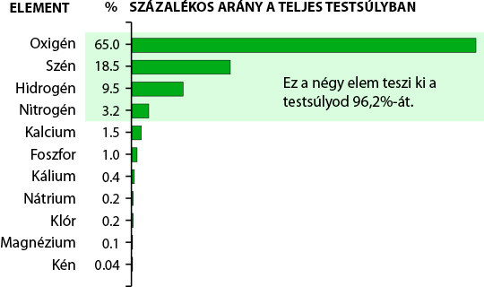 Elements in Human Body by Percent