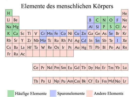 Periodentafel der im menschlichen Körper vorkommenden Elemente