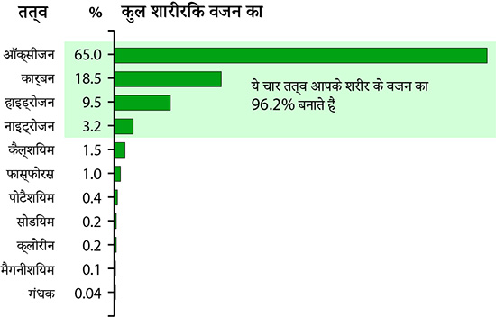 Elements in Human Body by Percent