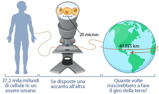 cells circle Earth