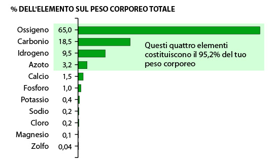 Elements in Human Body by Percent