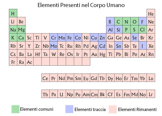 Periodic Table illustration of elements found in human body