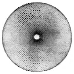 Photographic x-ray diffraction image from a bovine Cu,Zn superoxide dismutase crystal