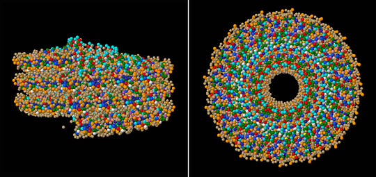 Tobacco mosaic virus