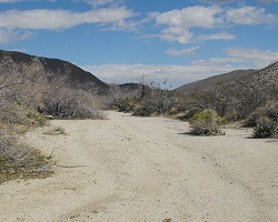 Anza Borrego streambed