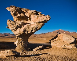 Arbol de Peidra. Stone Tree.