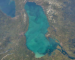 Lago Ontario plancton