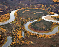 Oxbow lake