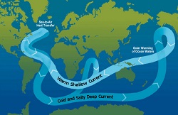 Ocean circulation