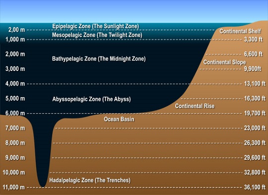 Ocean zones